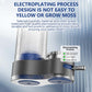 💥HOT SALE - 49% OFF🔥Faucet Water Purifier with Adapters💧
