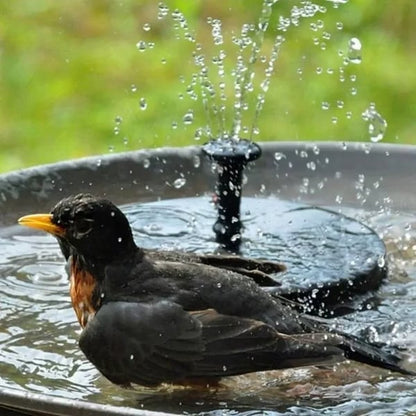 🔥Promoção Especial -50%🔥🔥Fontes Solares para Pássaros🐦