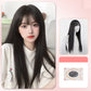 Women's Fashion Full Head Long Wig
