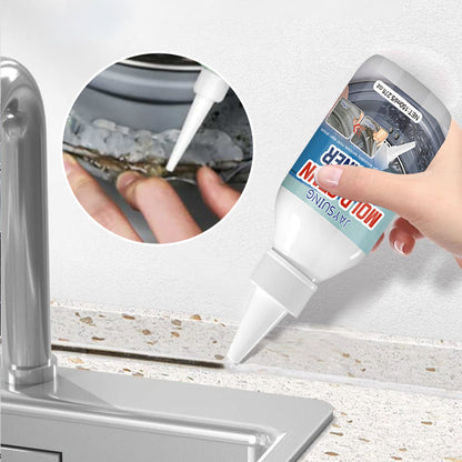 Multi-Purpose Efficient Mold Stain Cleaner