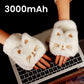 USB Rechargeable Heated Fingerless Gloves