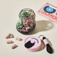 Portable Clear Pill Organizer with 4 Compartments