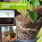 🔥HOT SALE 50% OFF🔥Magic Hydroponic Lliquid Fertilizer