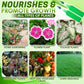 🔥HOT SALE 50% OFF🔥Magic Hydroponic Lliquid Fertilizer