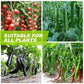 🔥HOT SALE 50% OFF🔥Magic Hydroponic Lliquid Fertilizer
