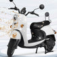 Specialized Cleaner for Electric Vehicles