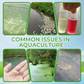 Professional-Grade Water Purification for Effortless Aquaculture