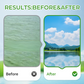 Professional-Grade Water Purification for Effortless Aquaculture
