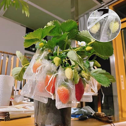 Capa protetora de malha para árvores frutíferas