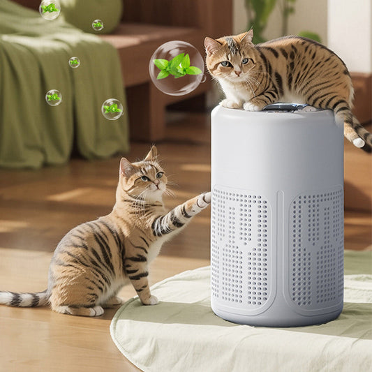⏰🔥50% DE DESCONTO! 🌬️ Purificador de ar compacto para casa – Silencioso, eficiente em termos de energia e perfeito para alergias, poeira e pelos de animais 🏠✨