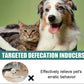✨ Spray indutor de defecação para posicionamento de animais de estimação! 🐶🐱💩