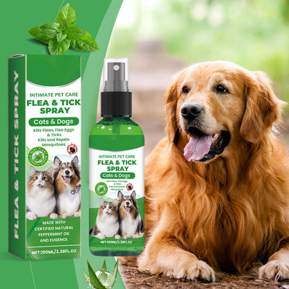 🍃Spray Natural Contra Pulgas e Carrapatos para Cães e Gatos🐾Mantenha seu amado pet livre de pragas!