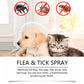 🍃Spray Natural Contra Pulgas e Carrapatos para Cães e Gatos🐾Mantenha seu amado pet livre de pragas!