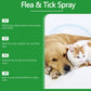 🍃Spray Natural Contra Pulgas e Carrapatos para Cães e Gatos🐾Mantenha seu amado pet livre de pragas!