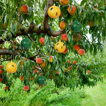🔥Promoção do Último Dia - 50% de Desconto🔥Armadilhas Adesivas Suspensas para Moscas-das-Frutas