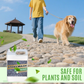 🔥 PROMOÇÃO RELÂMPAGO 50% DE DESCONTO 🔥 Adesivo para paisagismo de secagem rápida – Fixação instantânea, sem sujeira! 🌿✨
